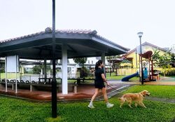 Thomson Park (D20), Terrace #574523641